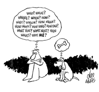 Cognitive neuroscience course image