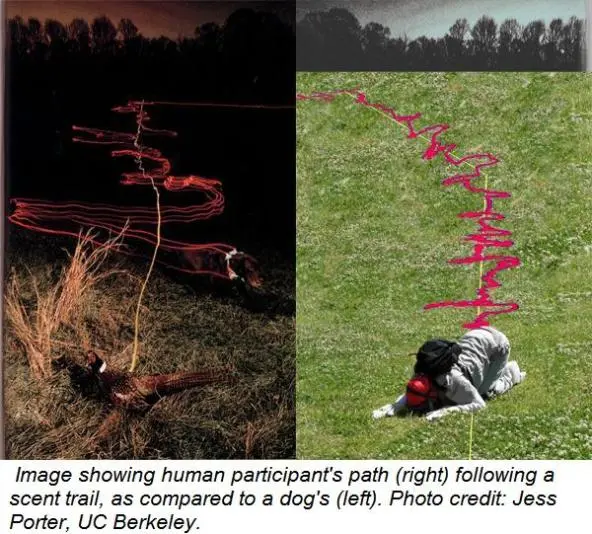 Behavioral psychology course image